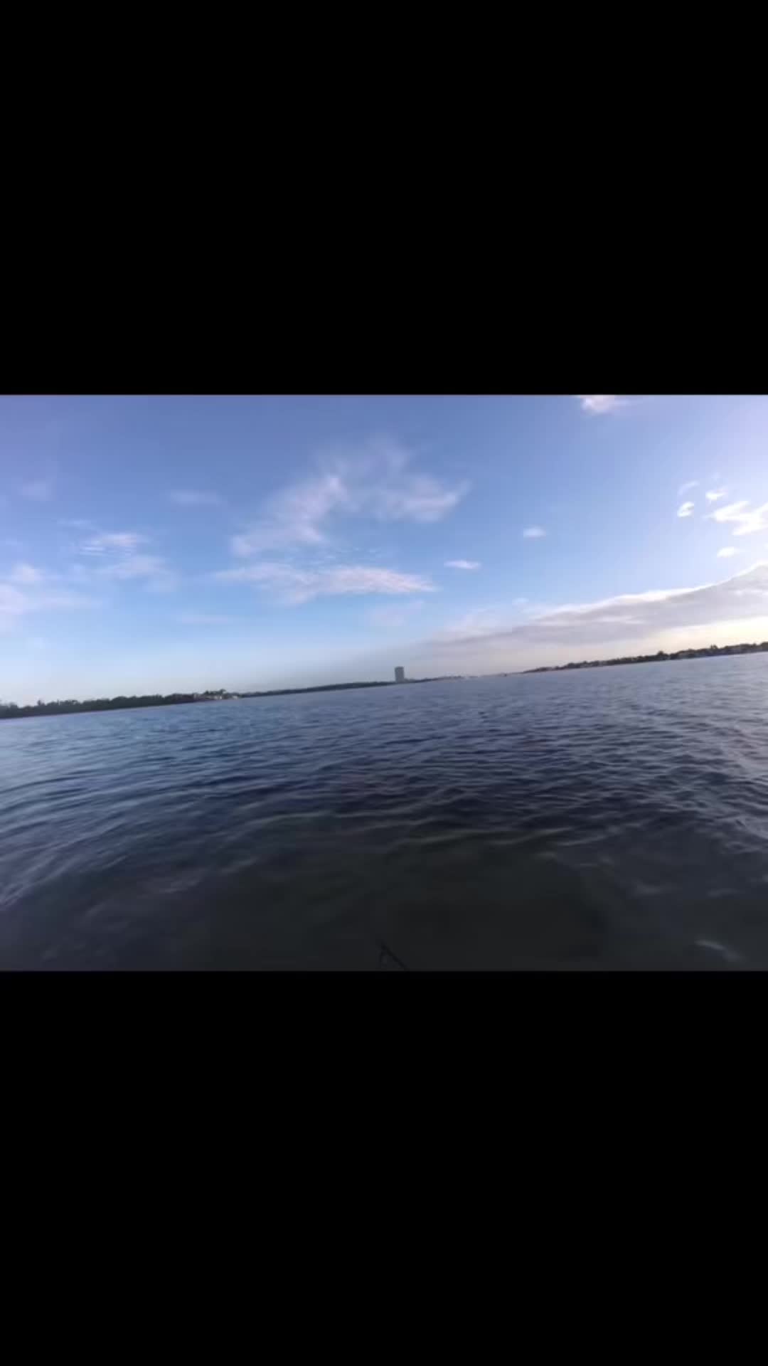 @Gotitfishing