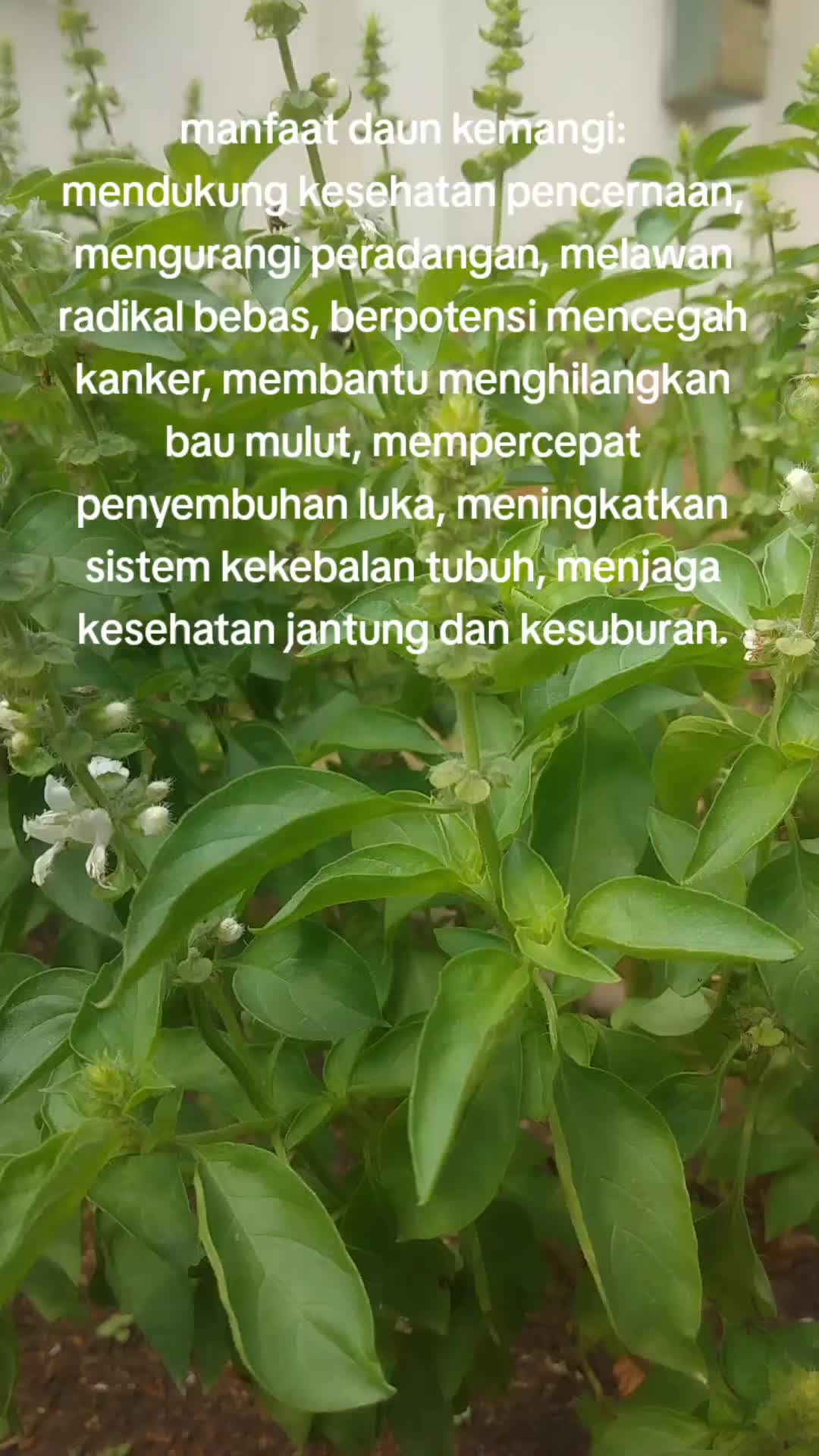 @reny glamur