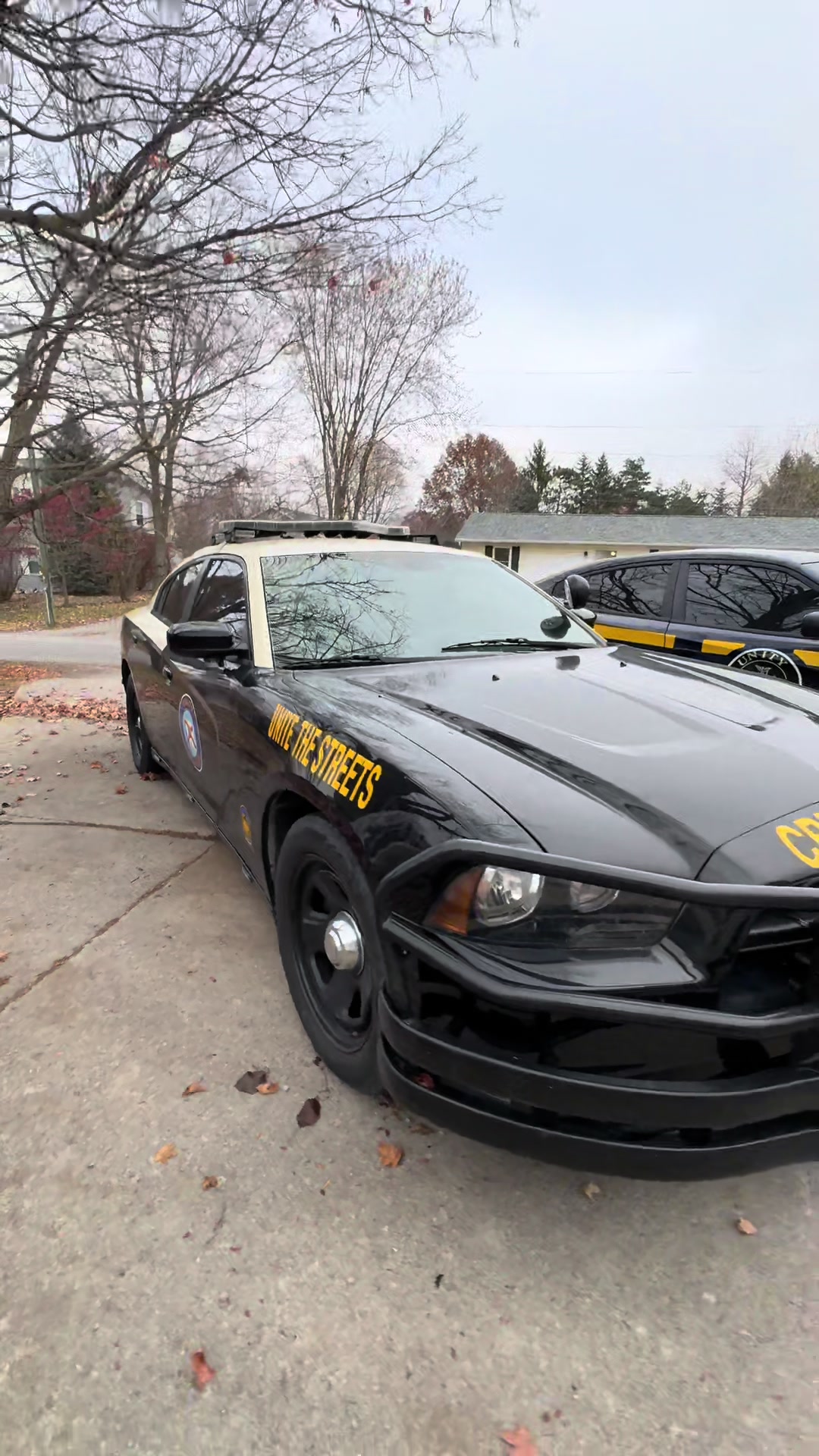 @Monster FHP