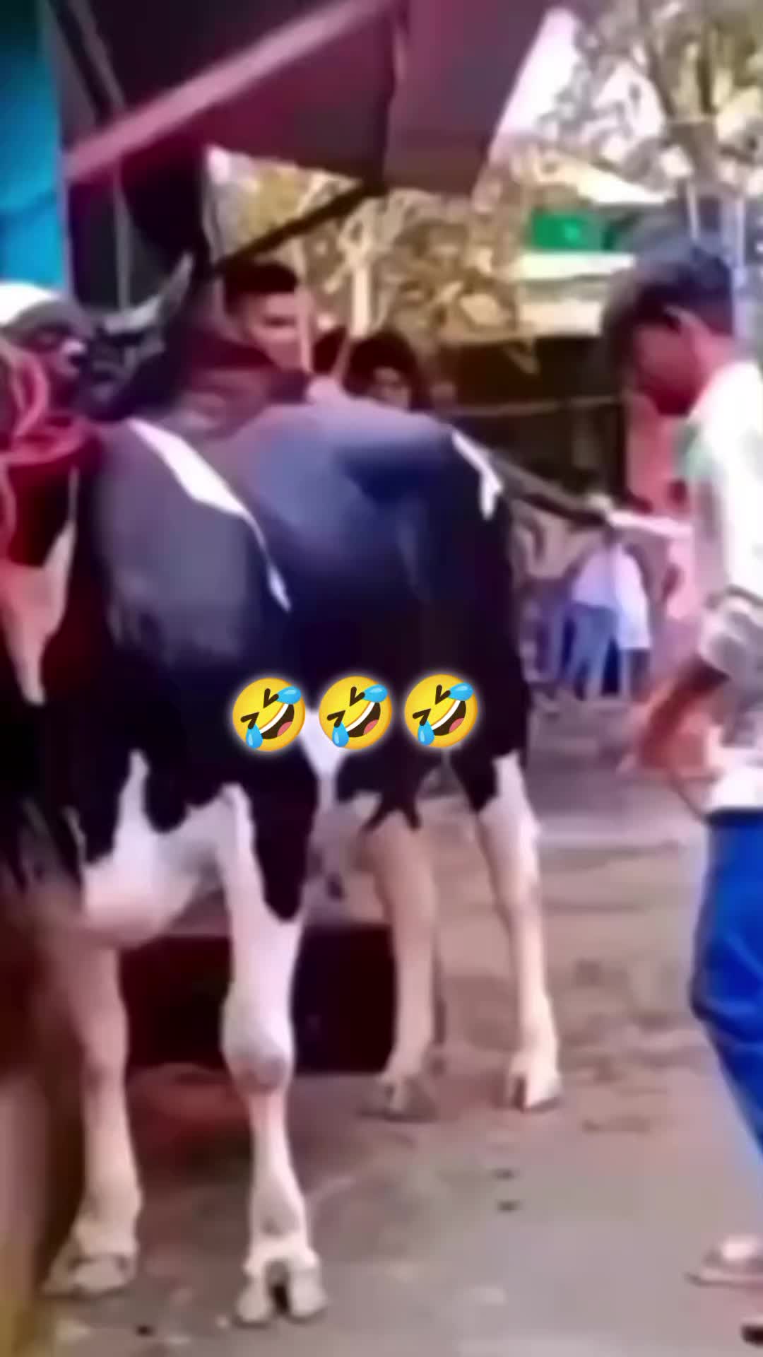 @jugatbaaz007