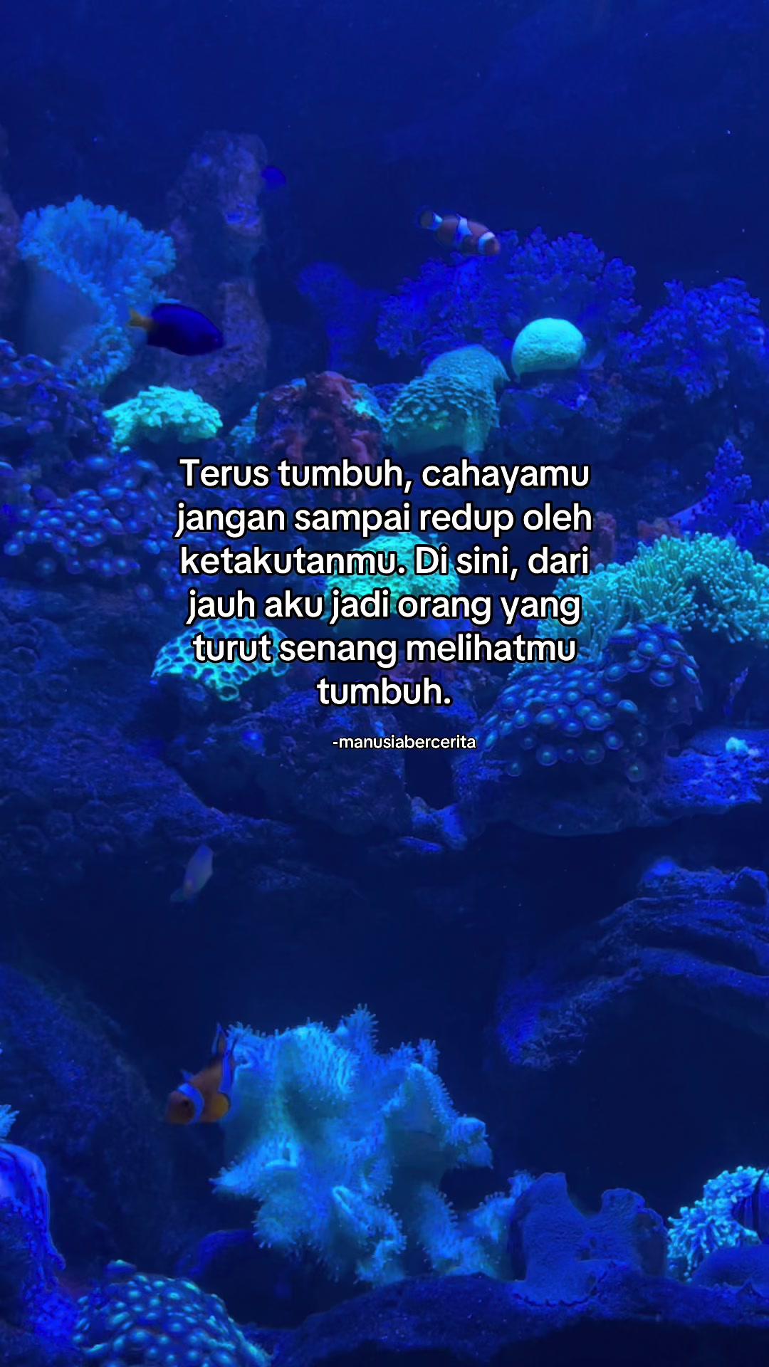 @Manusia Bercerita