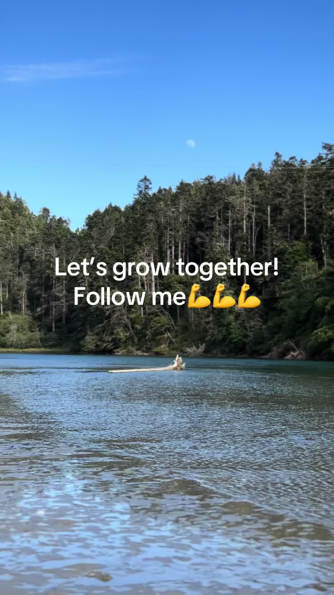 @kbeauty.dad