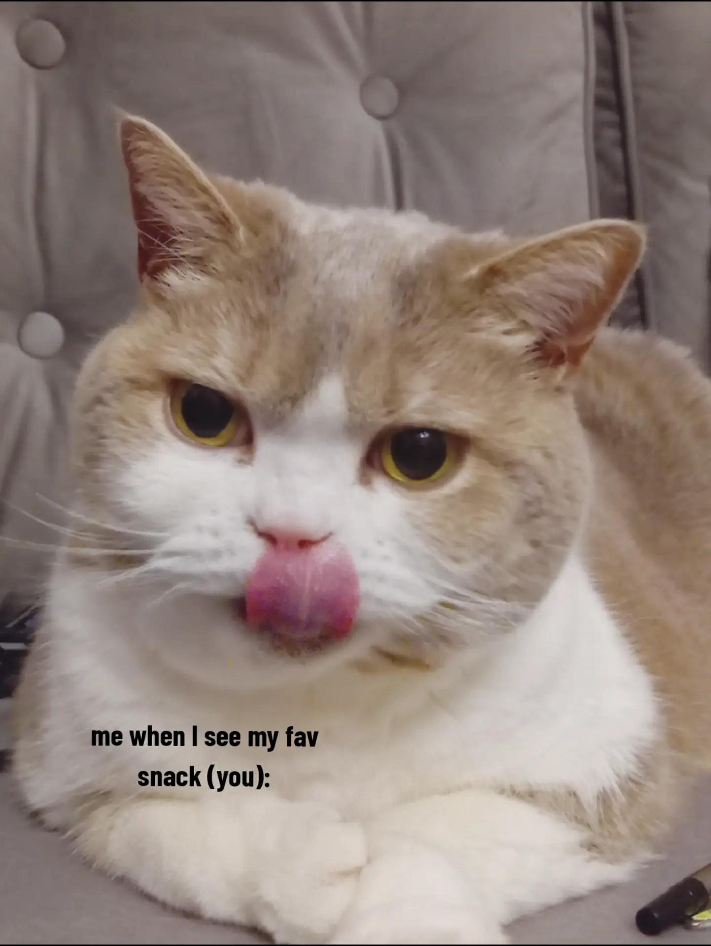@Anka