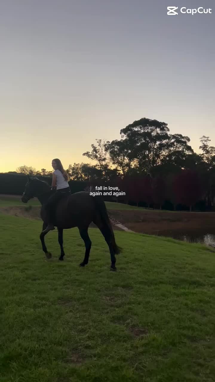 @horse 🐎