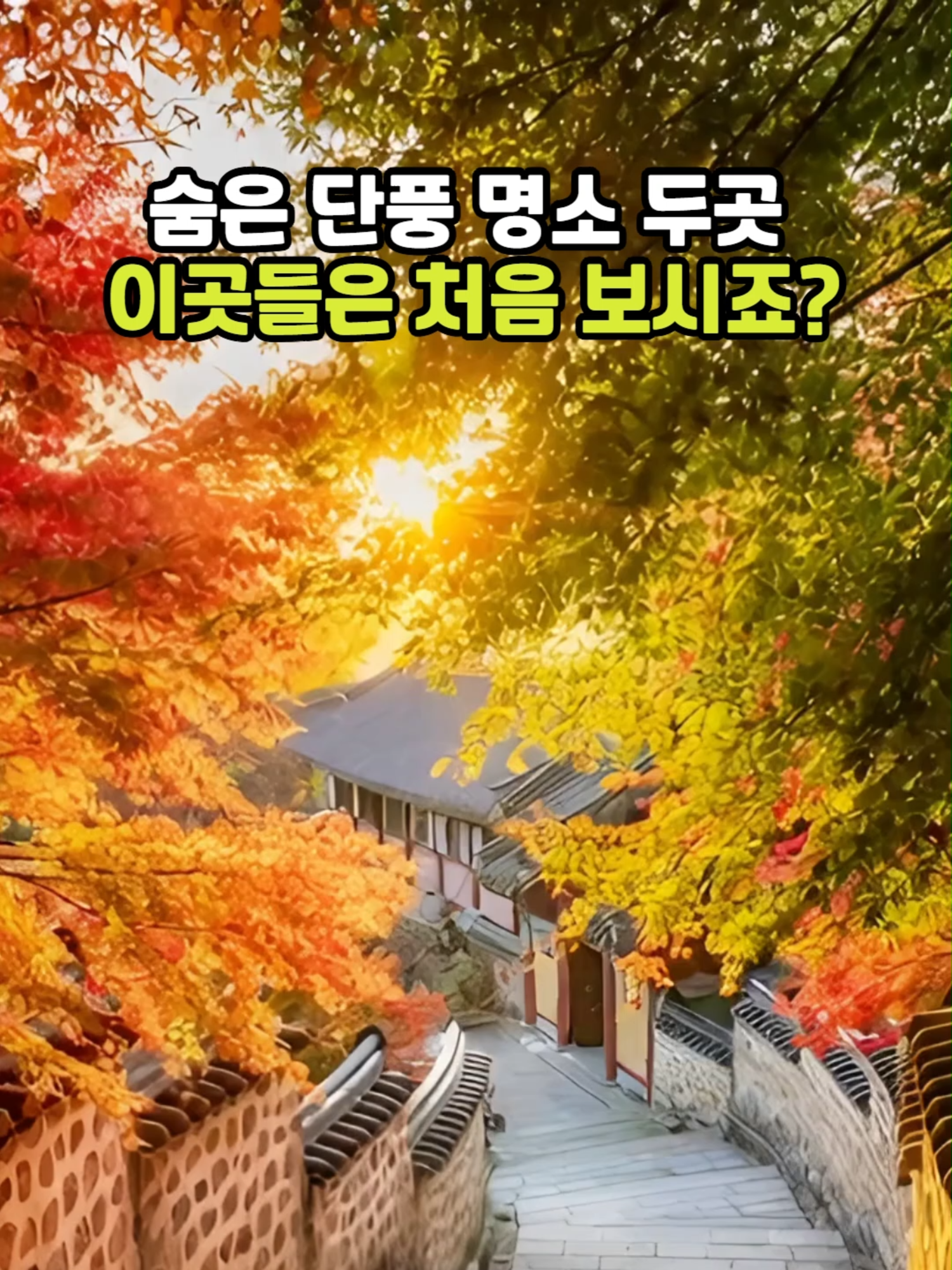 @꽃노리