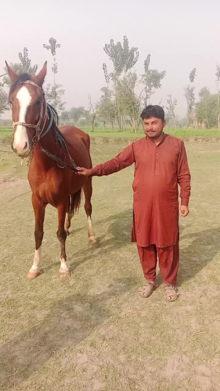 @👑Javed Rajput 👑