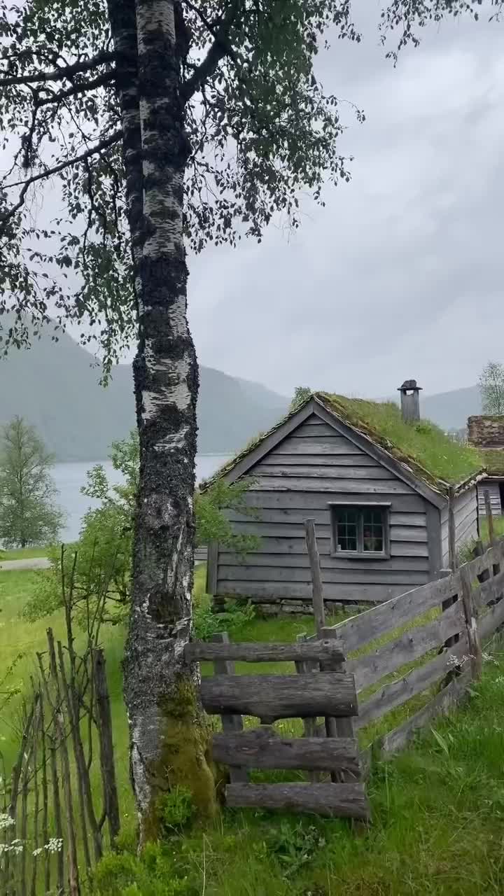 @Mountain boy