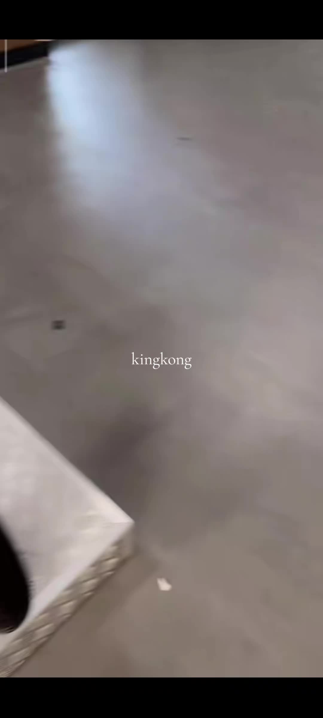 @𝕂𝕒𝕔𝕦𝕜 𝕙𝕚𝕥𝕒𝕞