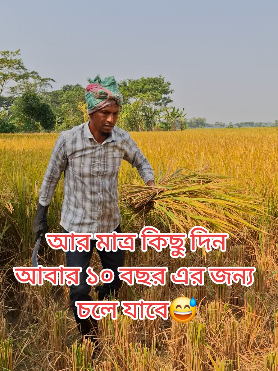 @Nayeem Islam