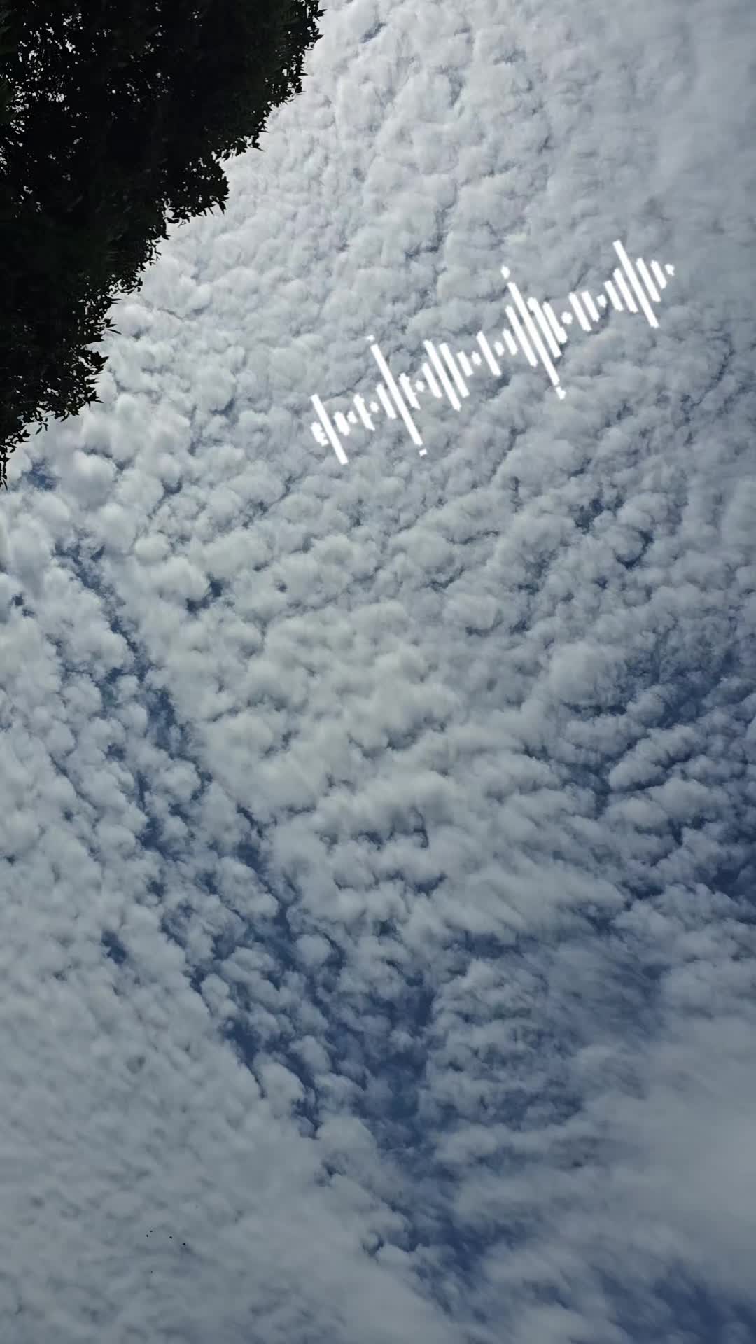 @WATTSUPINYA72