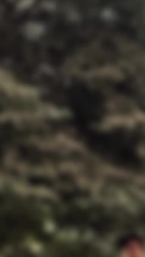 @saeedkakar00