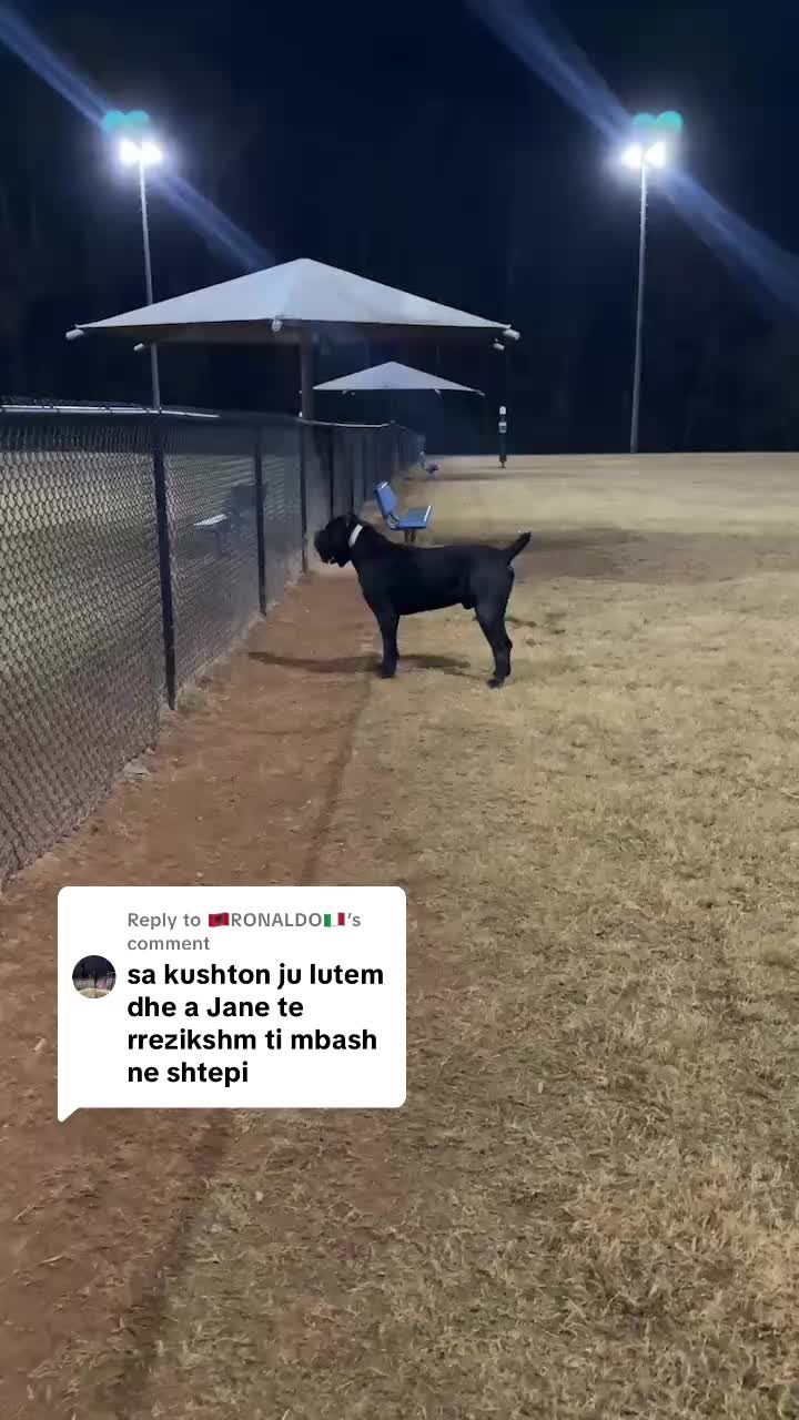 @guardiani_di_lako