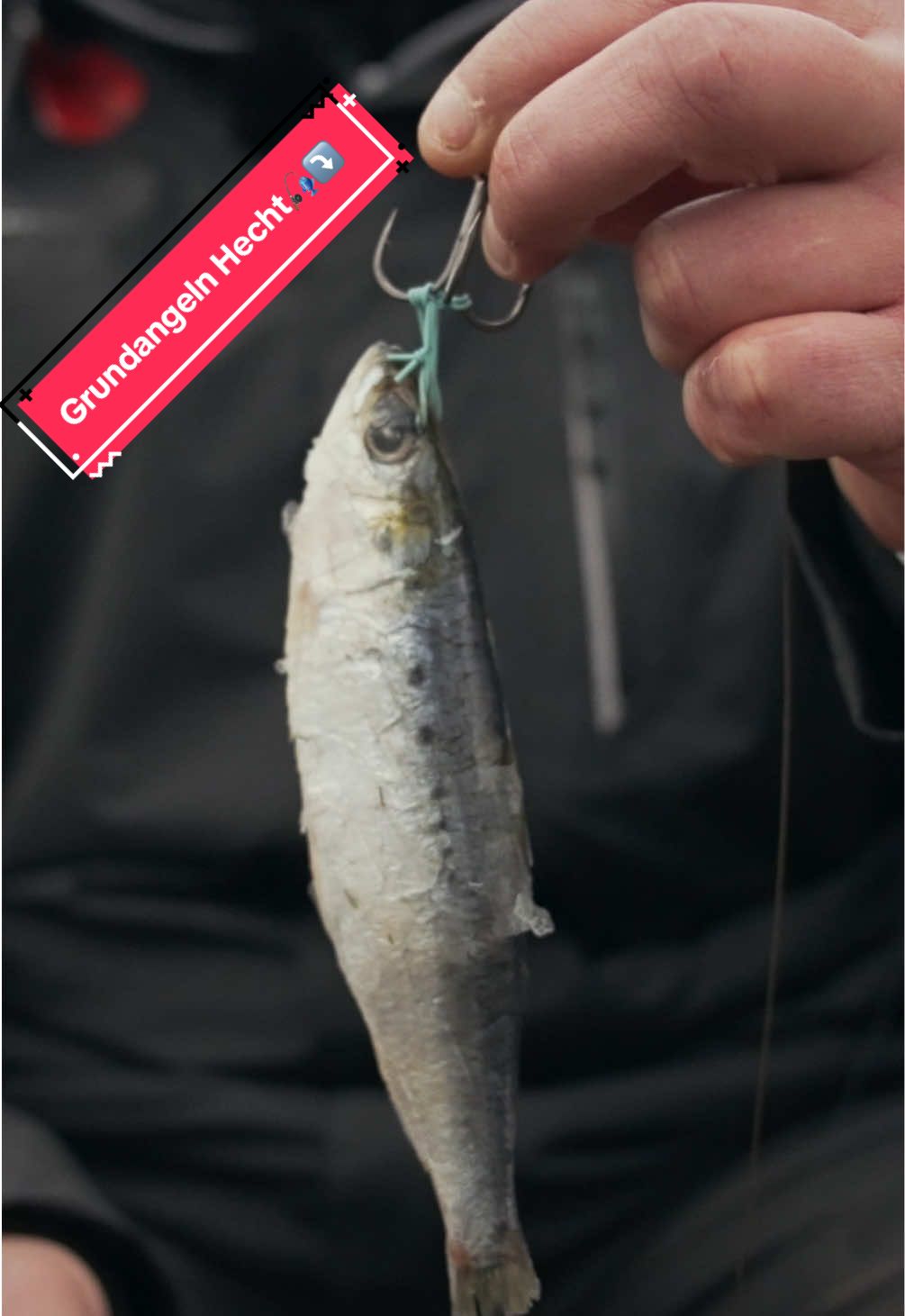 @Iron Claw_Fishing