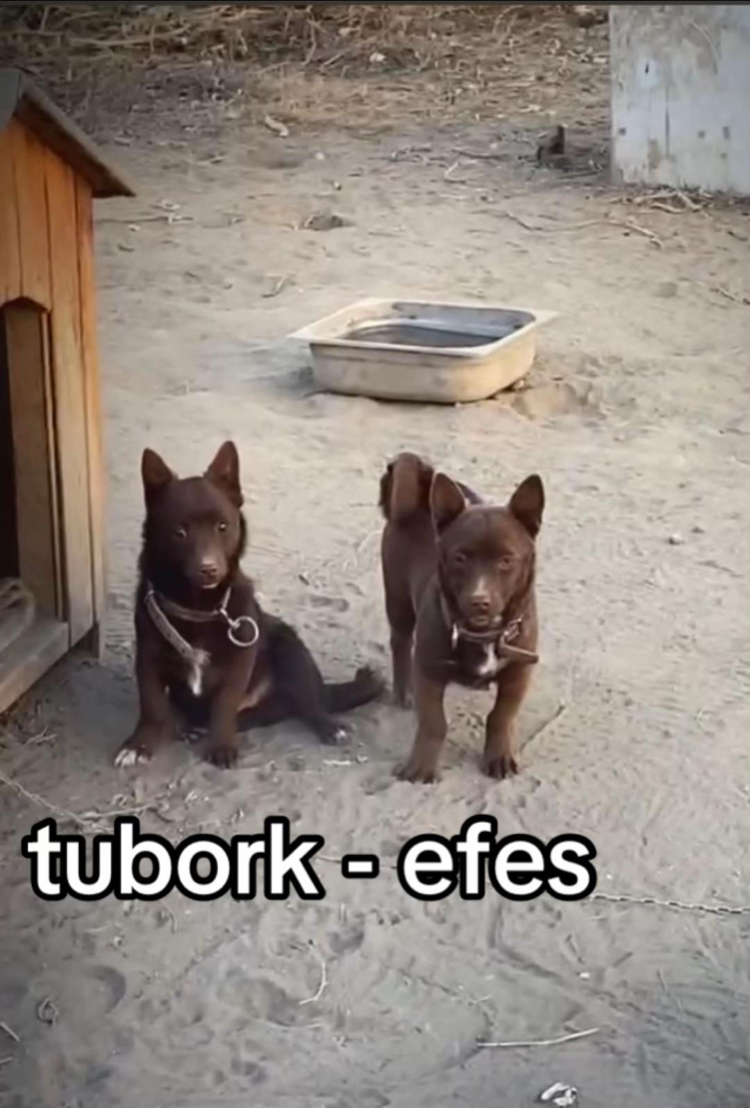 @&Ouml;zkan Ulurak
