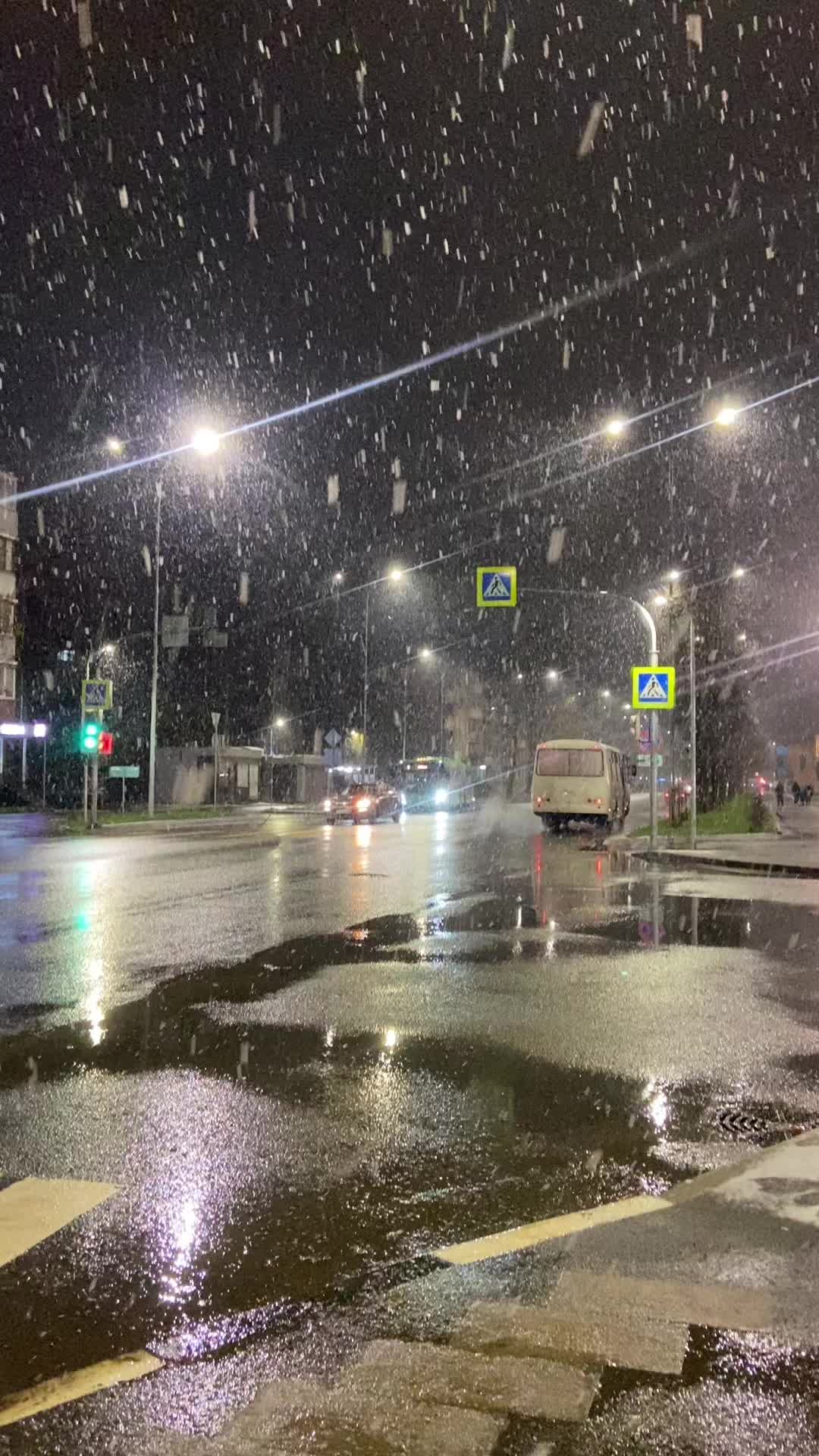 @ptrxvii