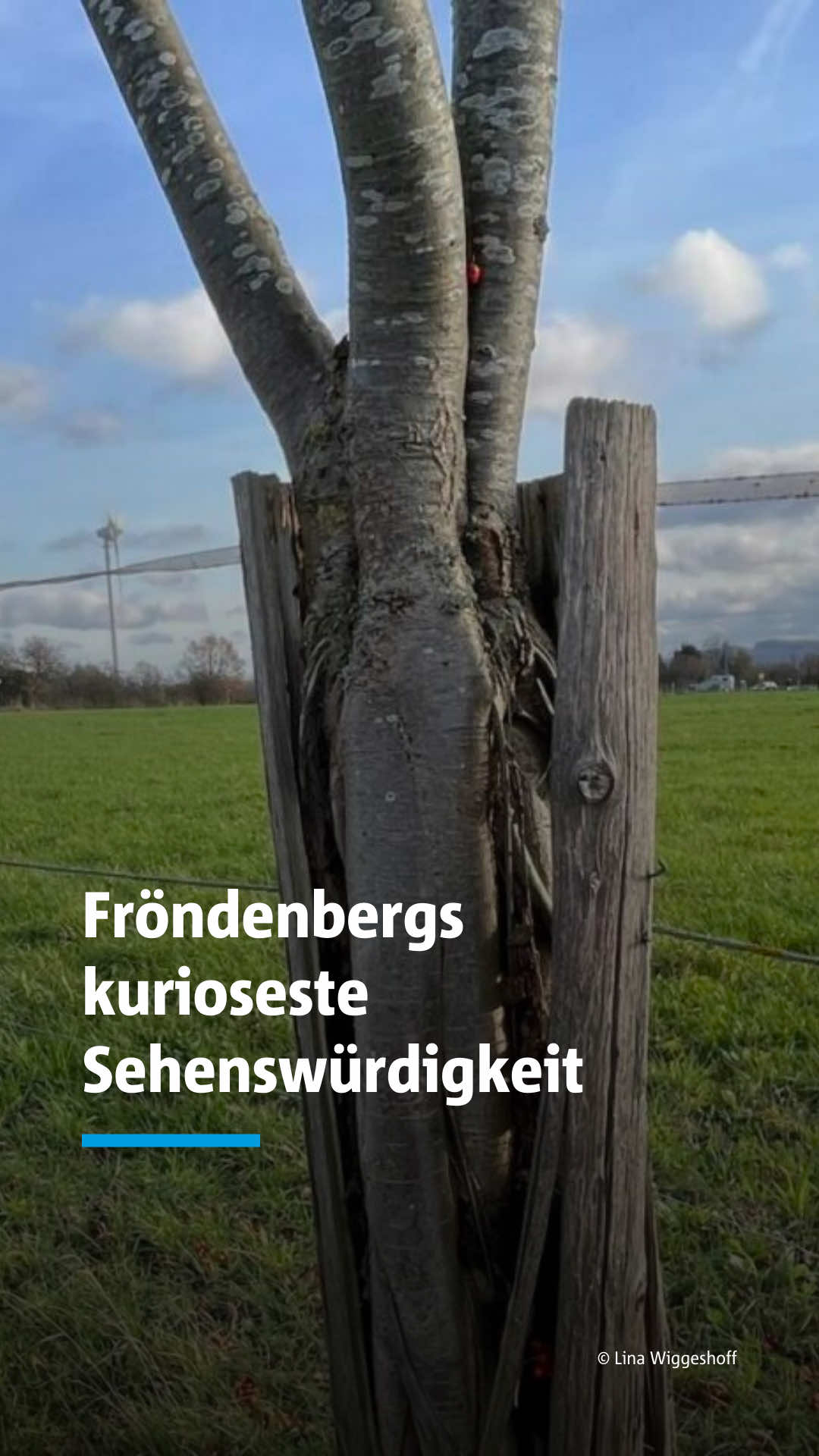 @Hellweger&ensp;Anzeiger