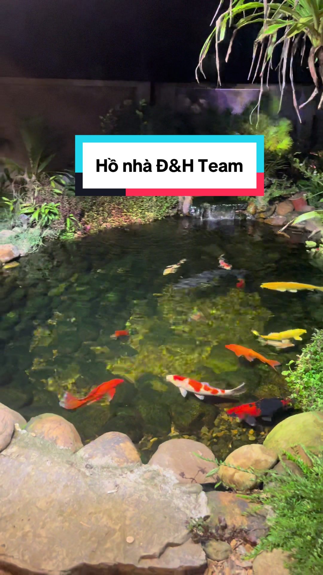 @Đ&H Team