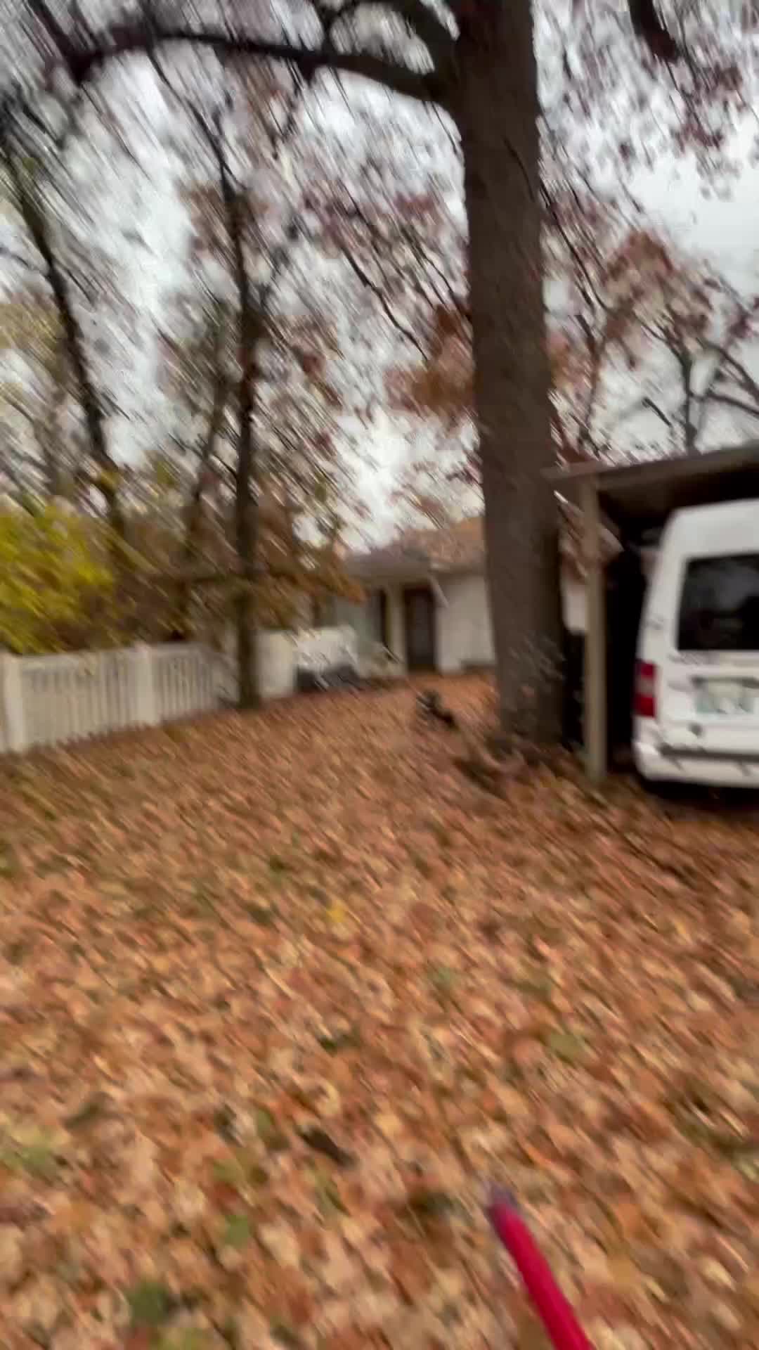 @AnimalWelfareGuy