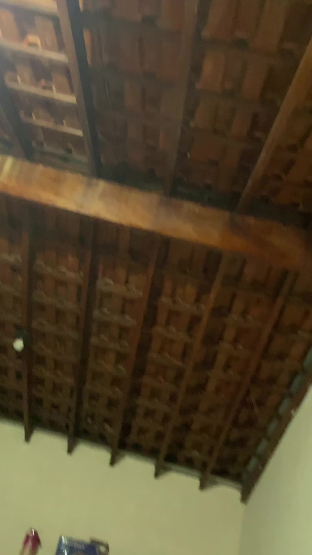 @Thialyson