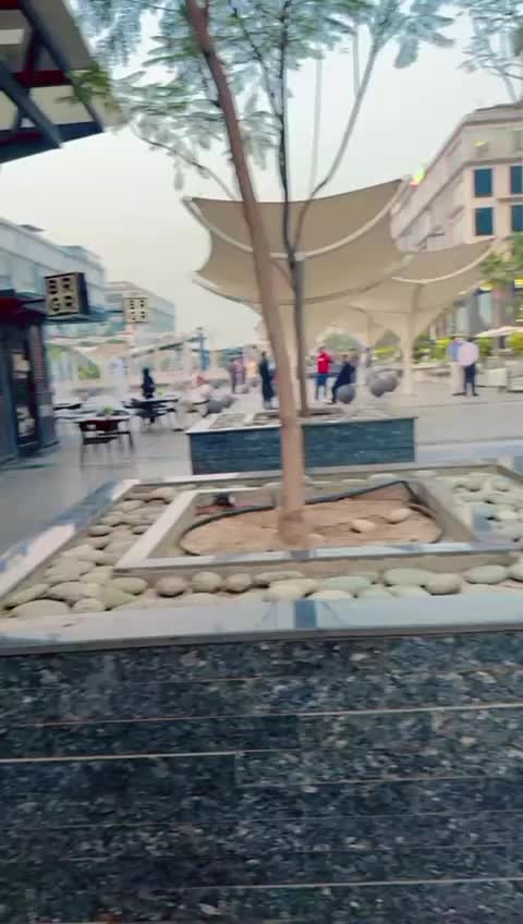 @ɪᴹ᭄Mᴵˢˢ ᶻᴵᴰᴰᴵ✭