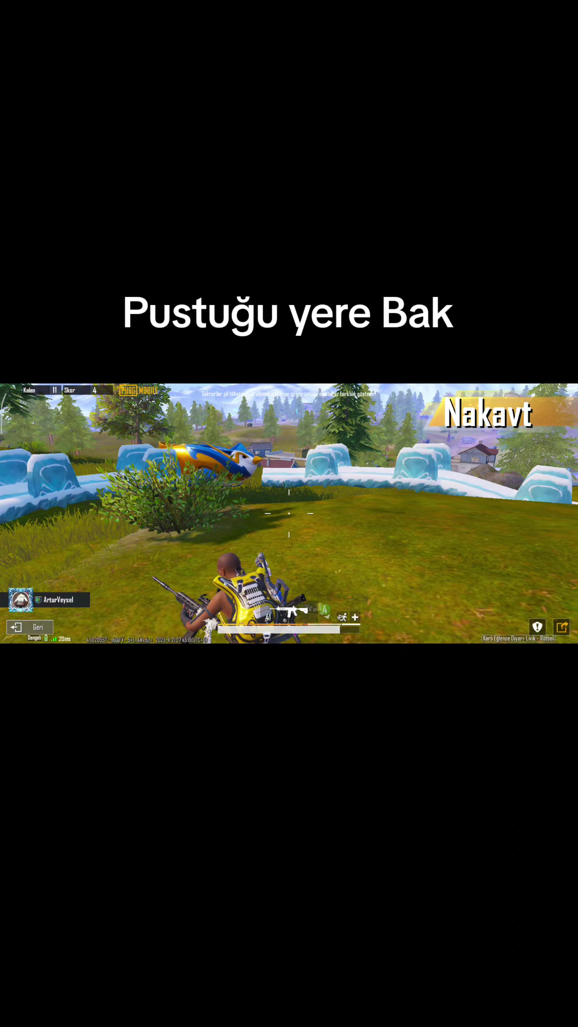 @Artur Veysel