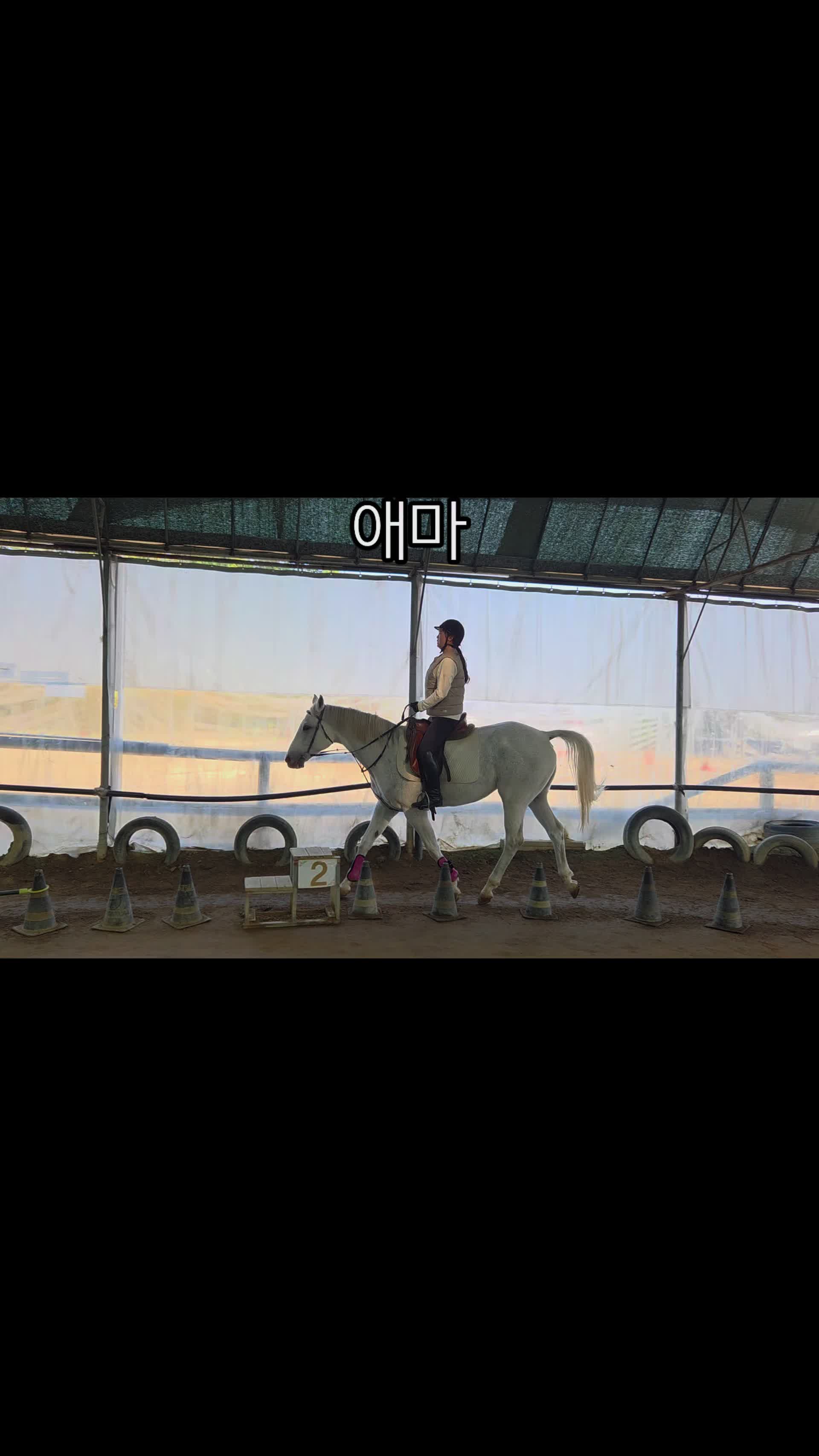 @율님