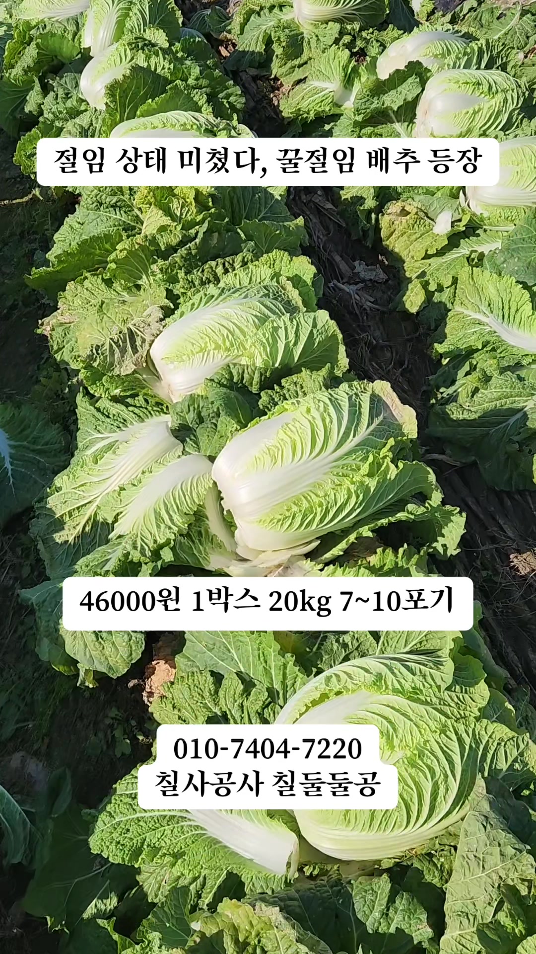 @프루트빌리지