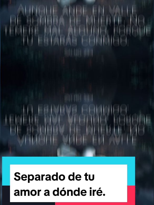 @Miranda Rojas.