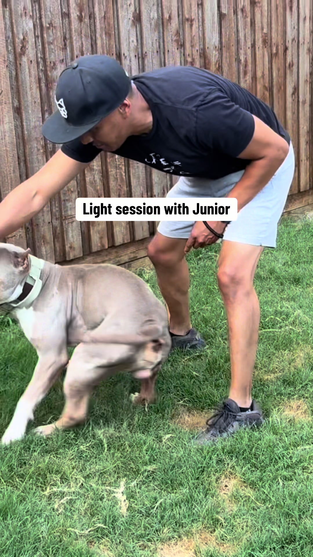 @Better Best Dog