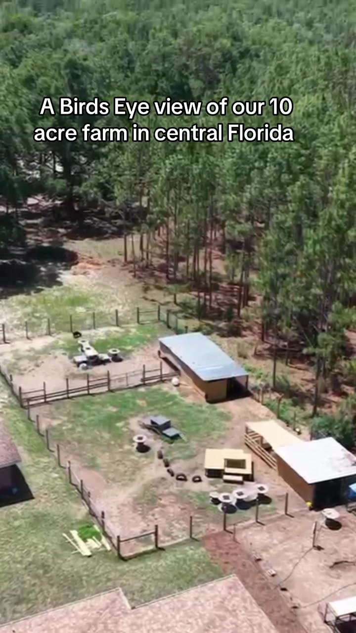 @Nature&rsquo;s Spirit Farm & Forest