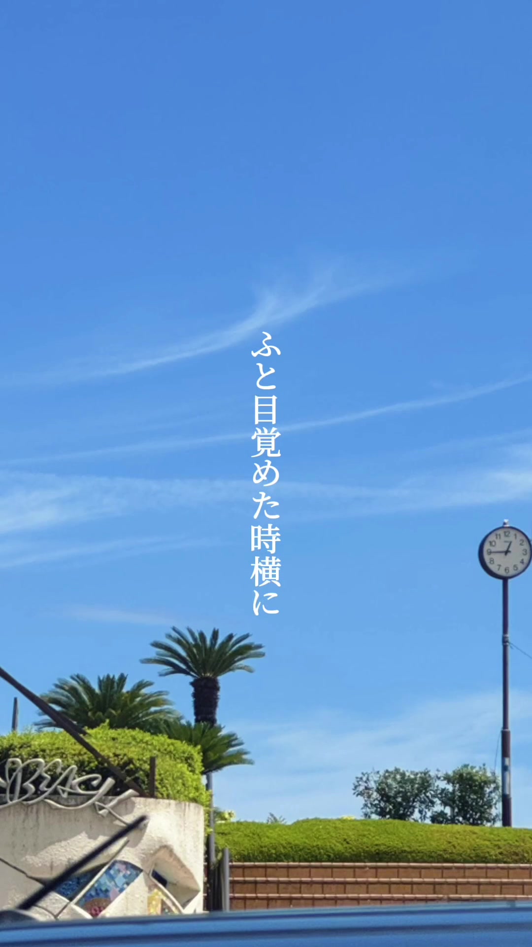 @多部大 / tabehiro