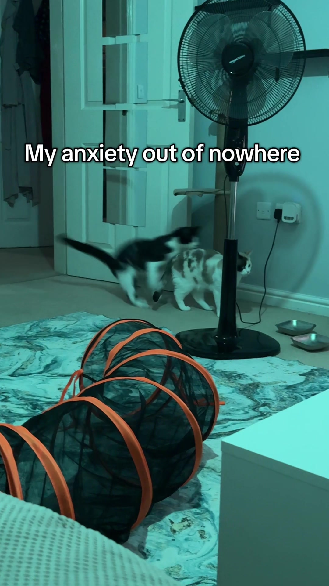 @slavic_cat_mum