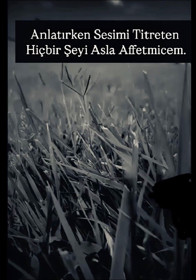 @baran123baran