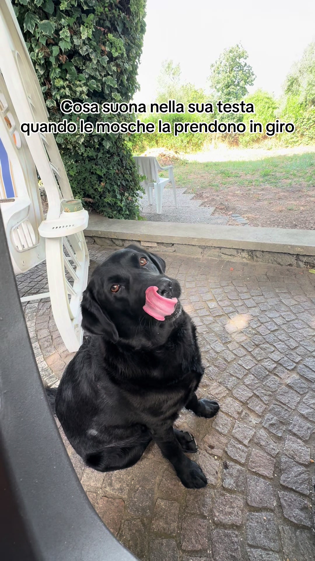 @Marzanella