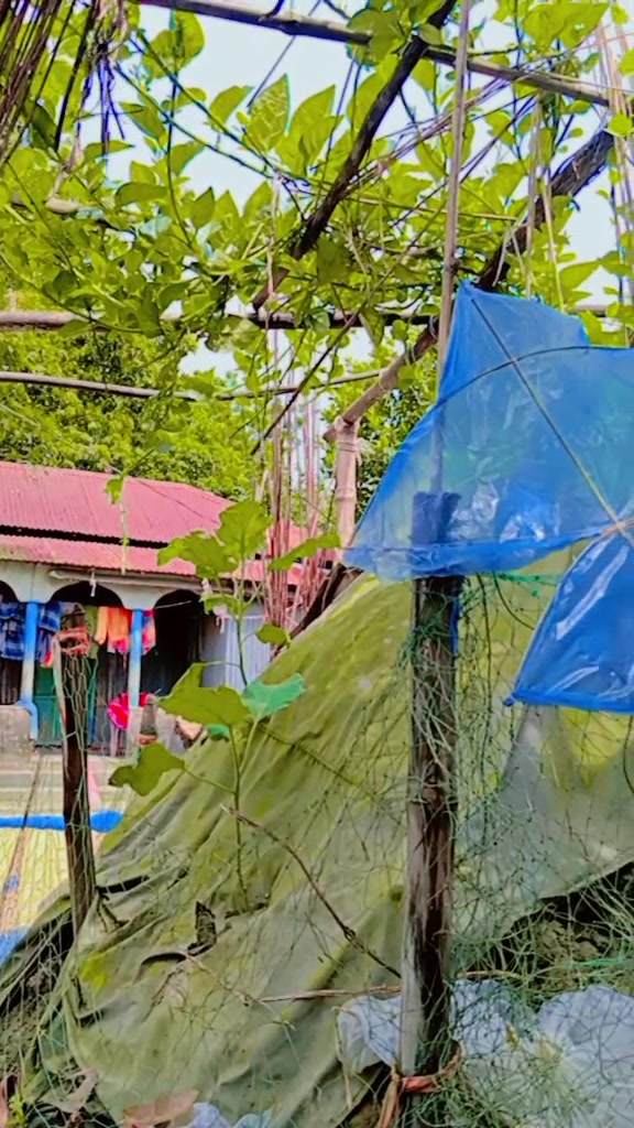 @গ্রামের বাংলার দৃশ্য