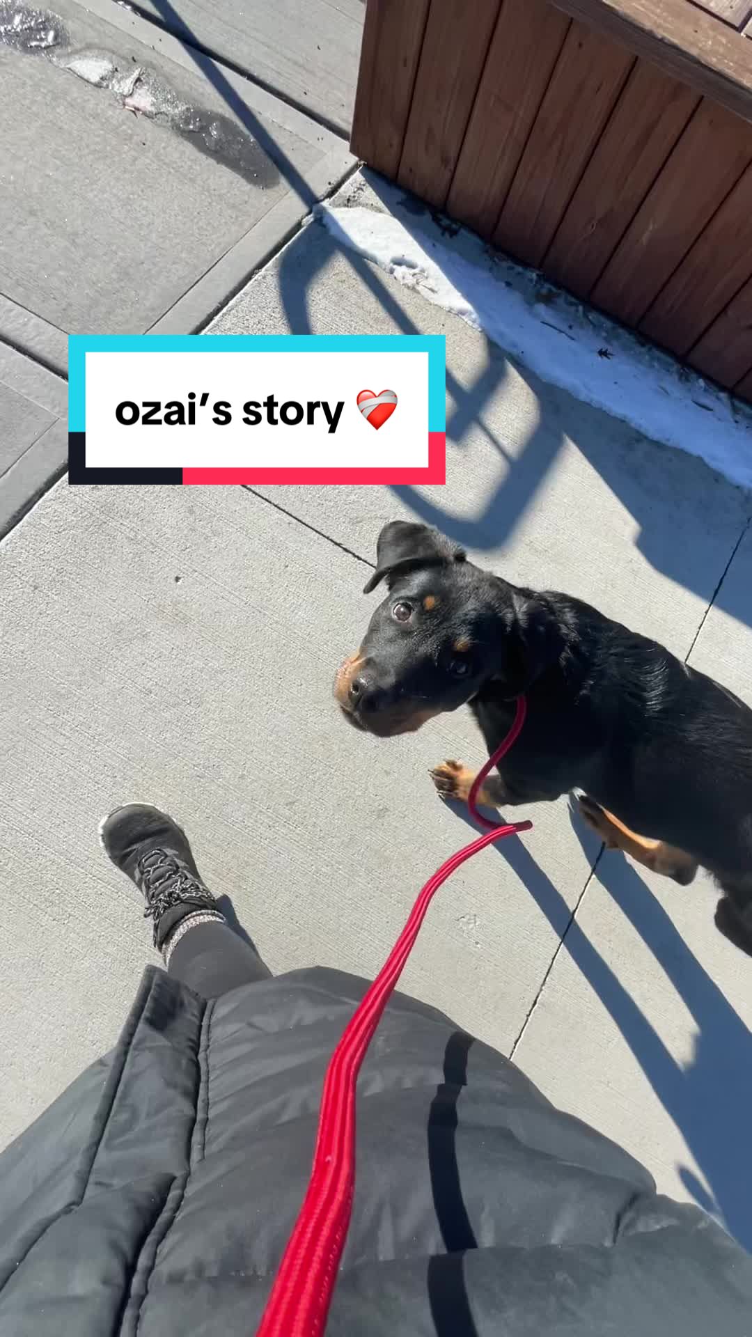 @Ozai the Tripod