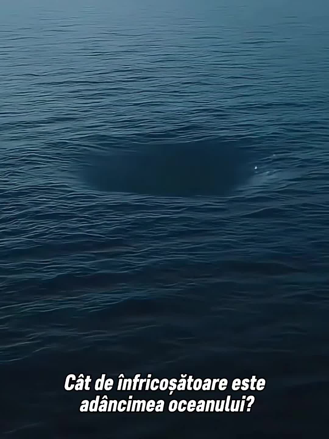 @WAYOFGIRL.