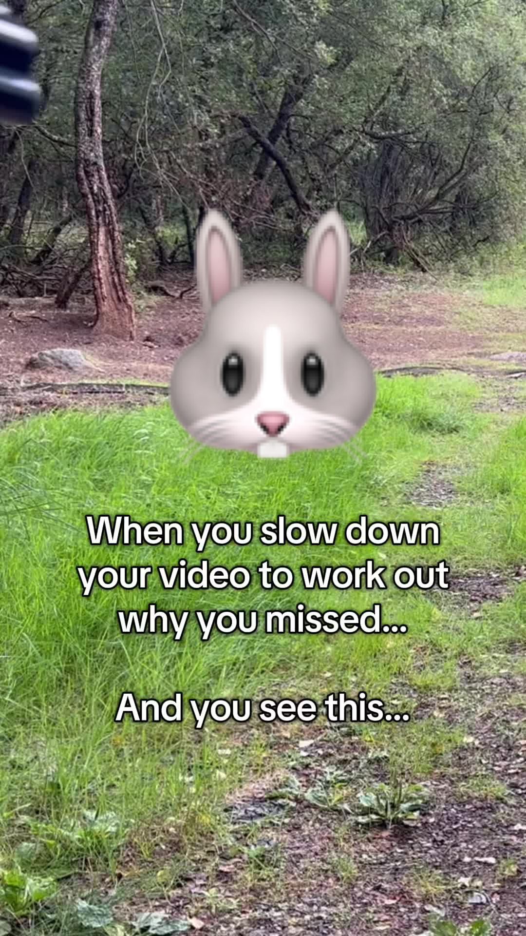@queekusme