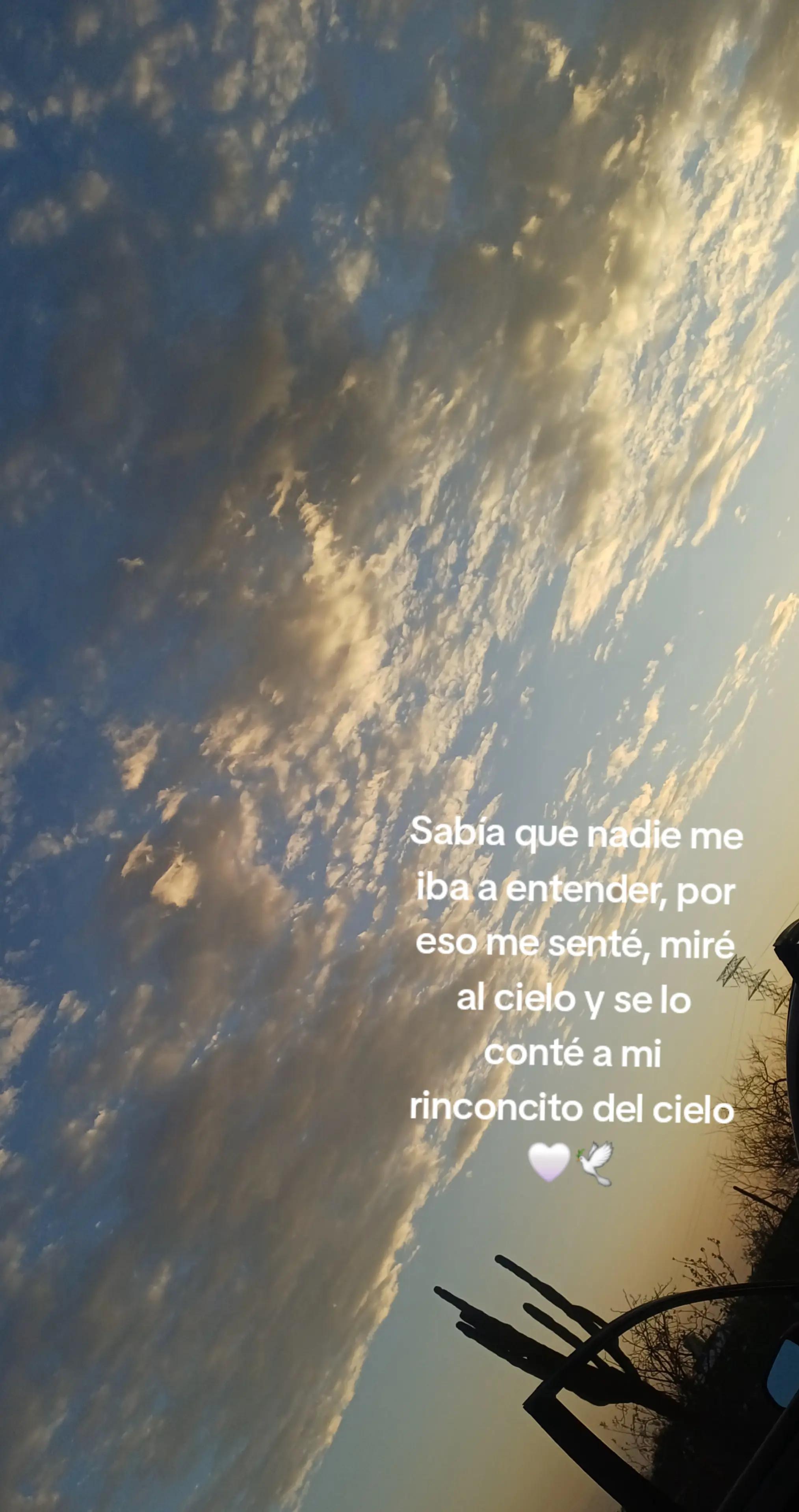 @Aly c✨️