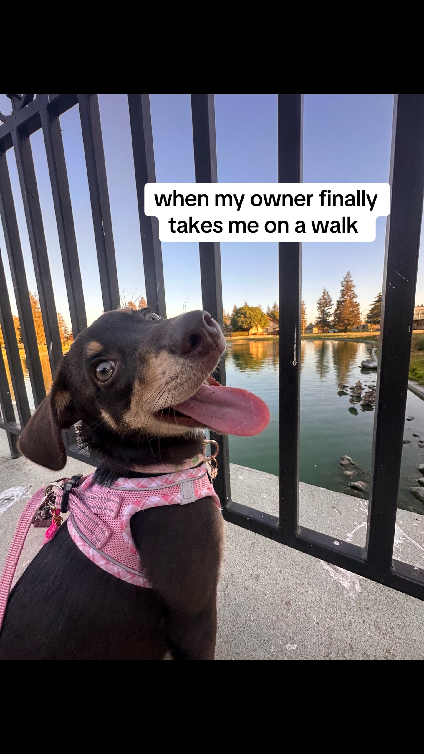 @Vic