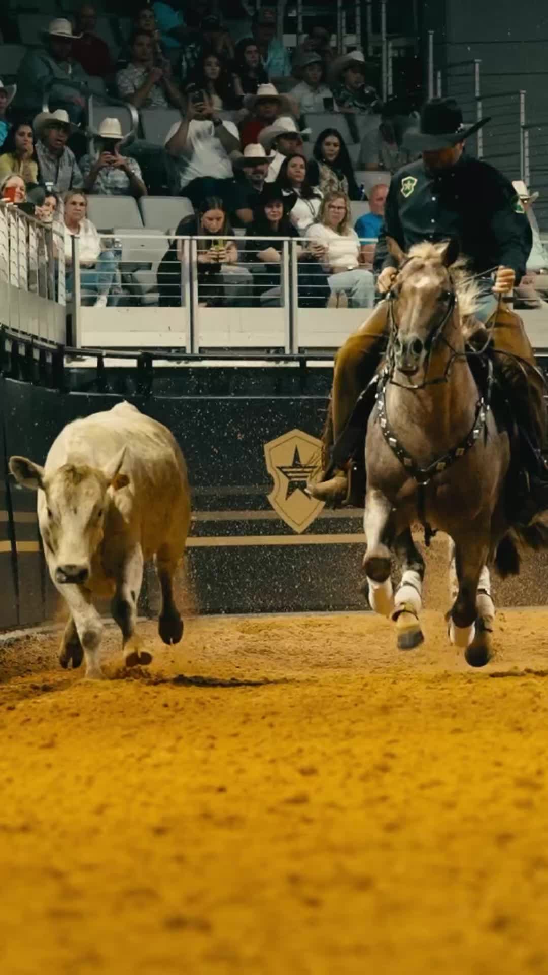 @doublejsportsmedia