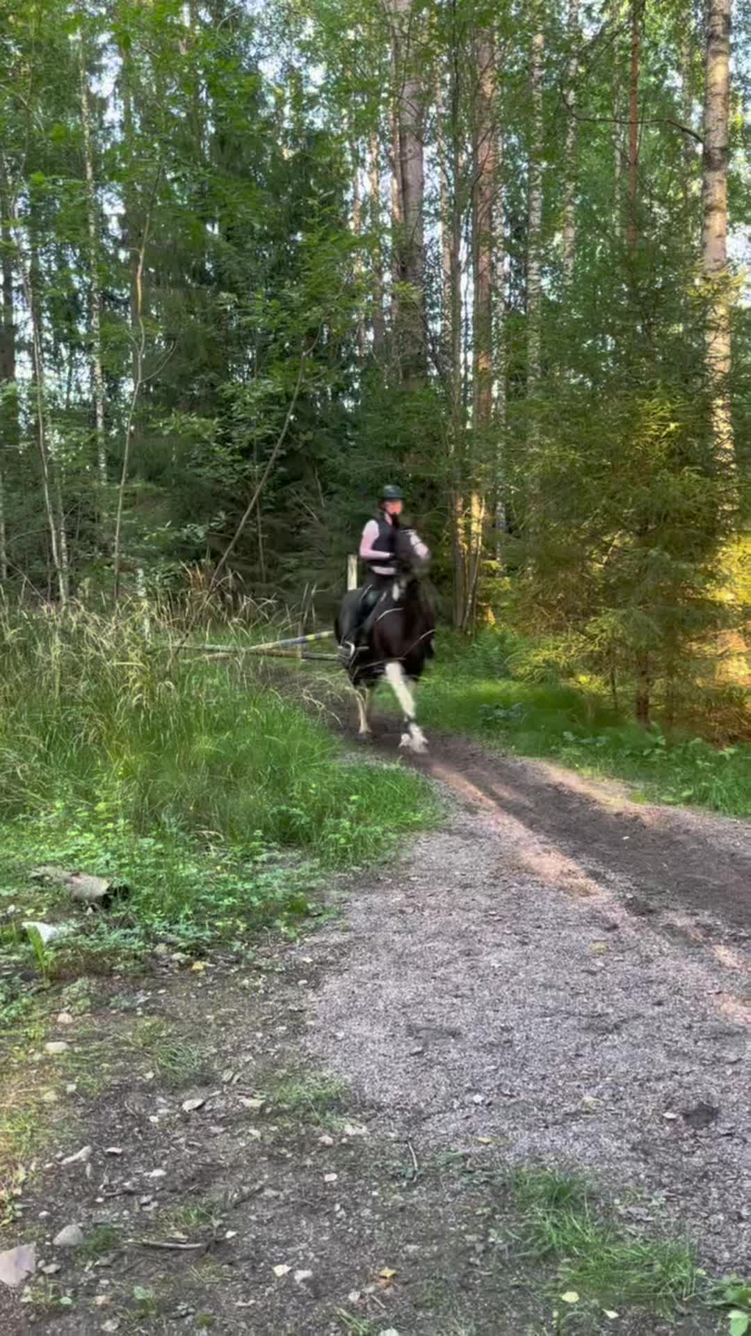 @Ella Grinde🇸🇪