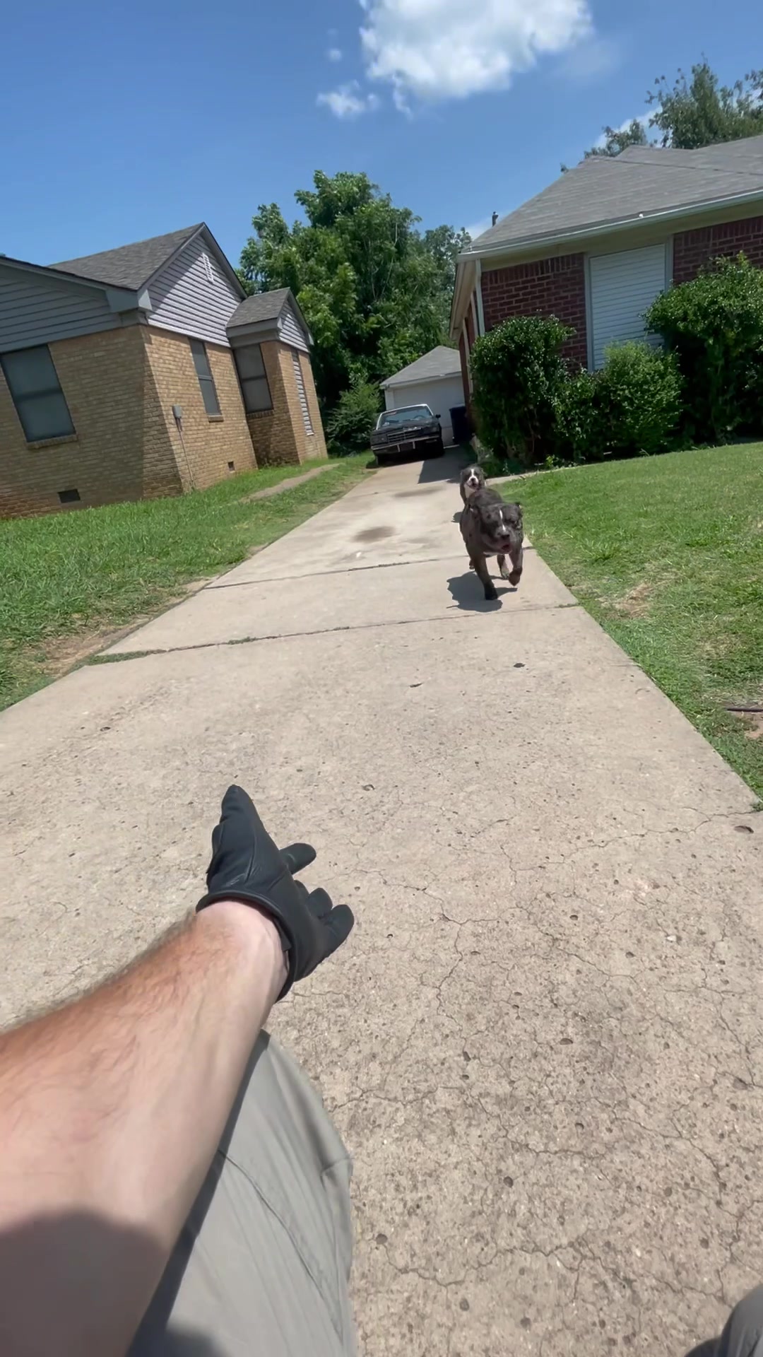 @AnimalWelfareGuy