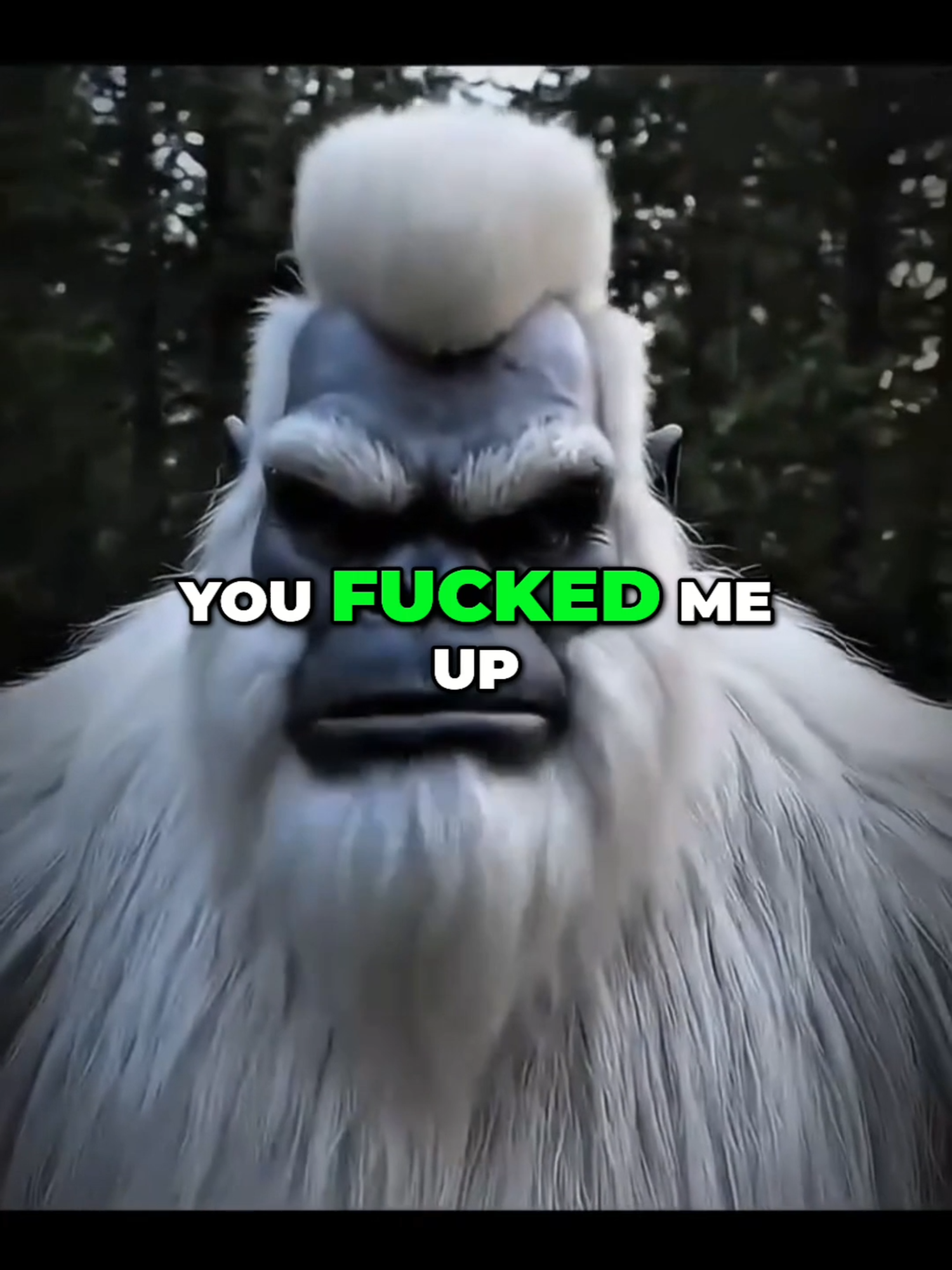 @Bigfoot Daily Vibes