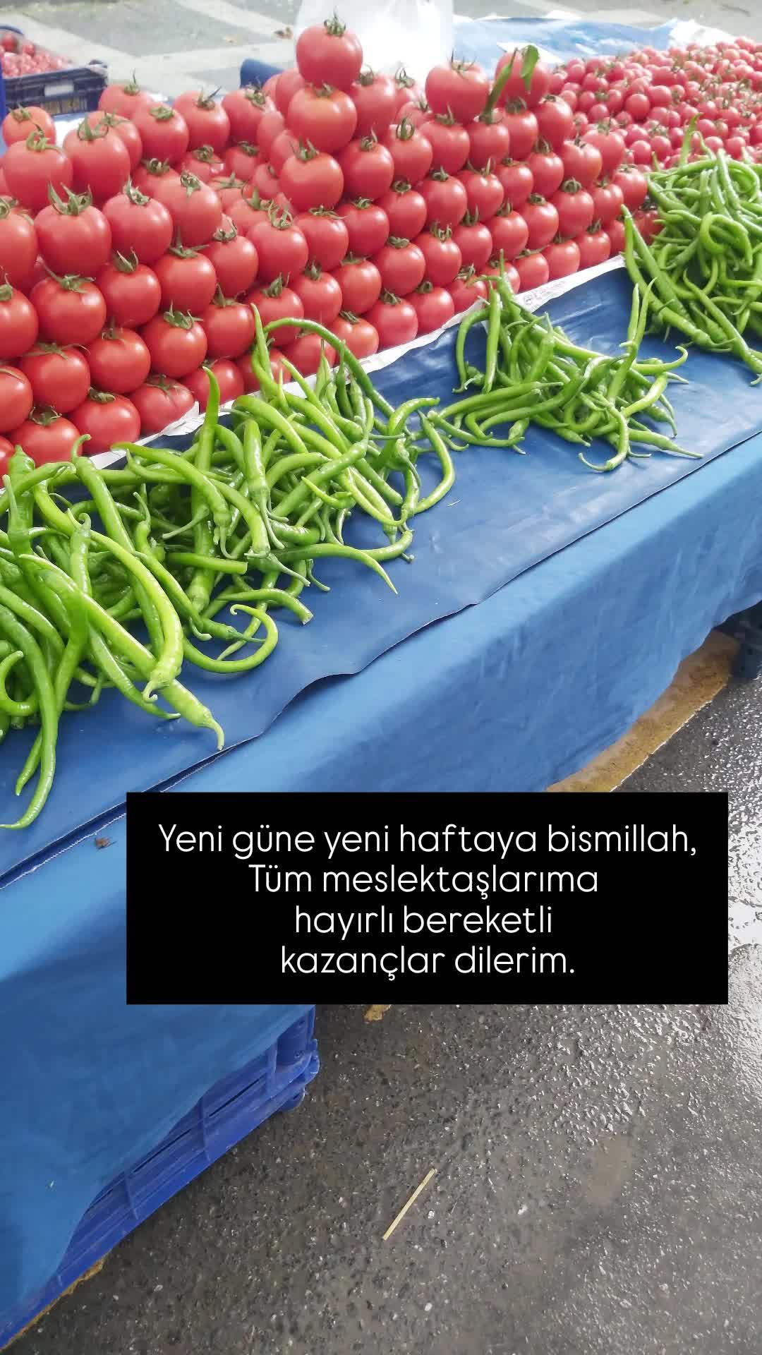 @cahit bozkuş