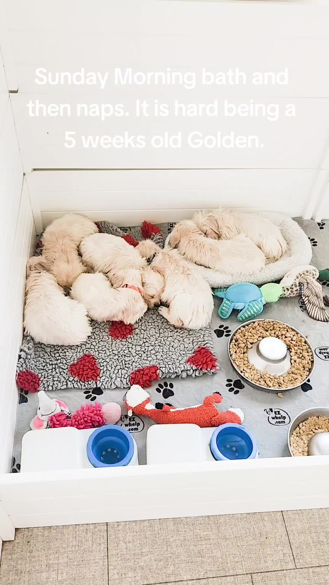 @selahgold