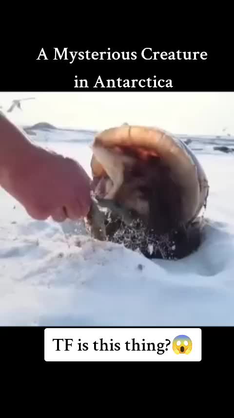 @𝕬𝖑𝖊𝖝 𝕯𝖔𝖑𝖒𝖔
