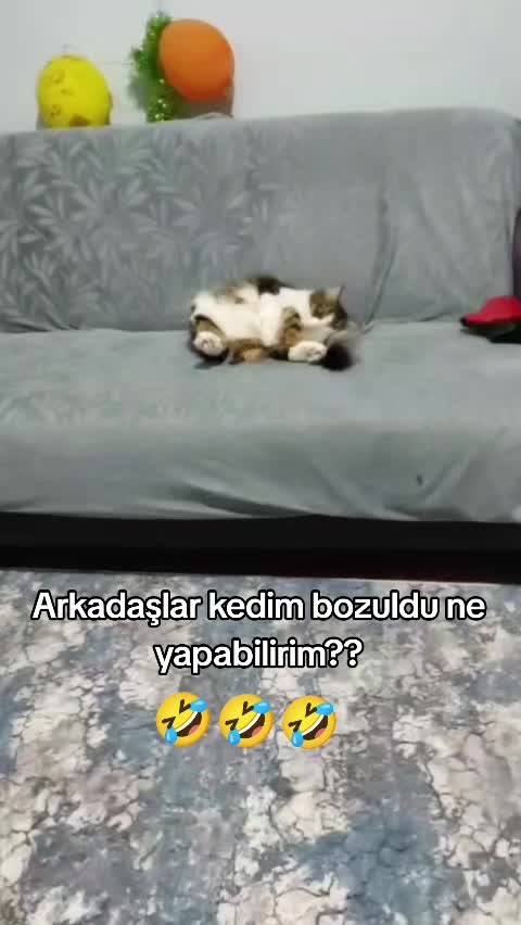 @Ece(Mehmet) &Ccedil;ayırlı