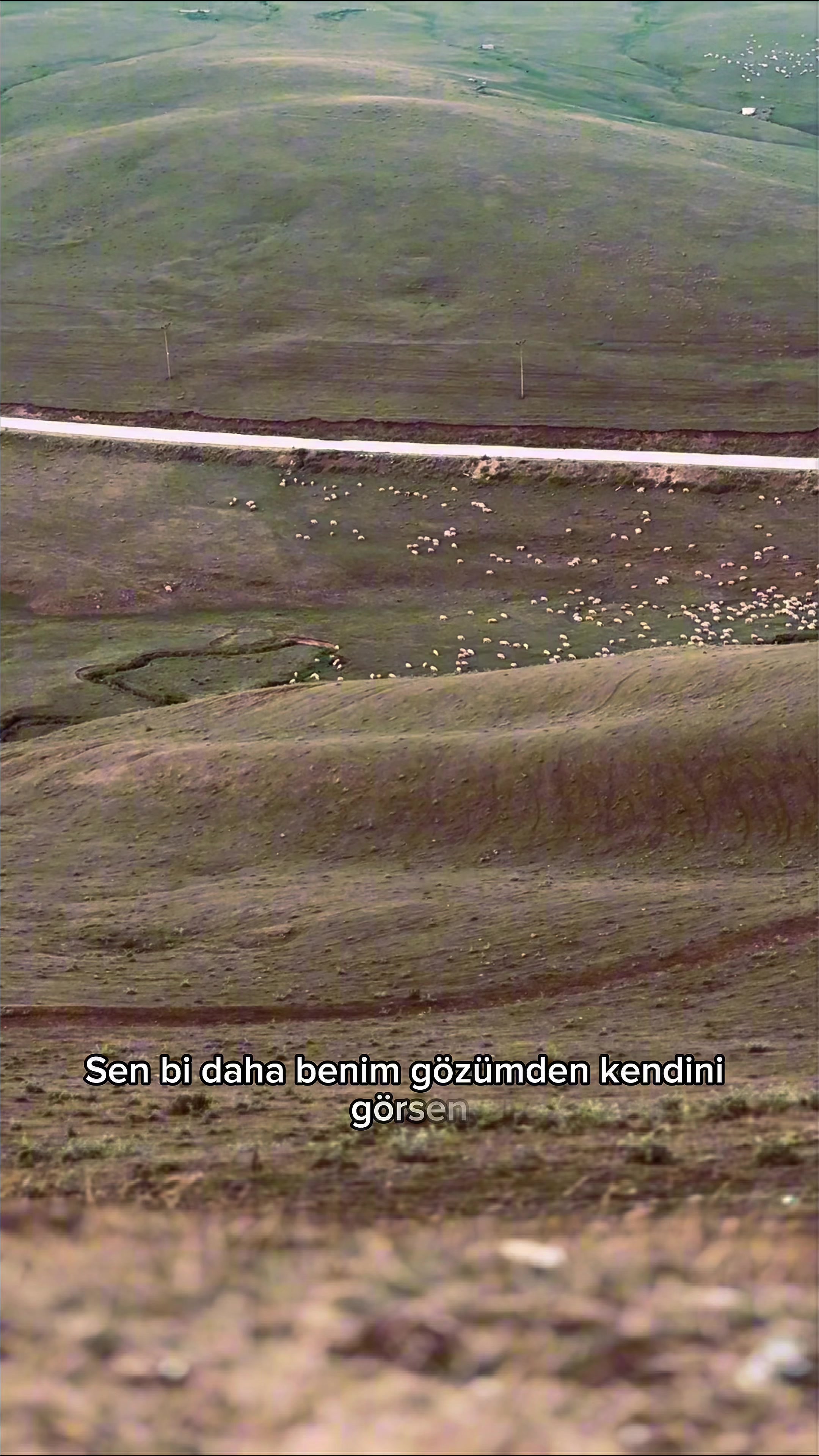 @Cedrusece
