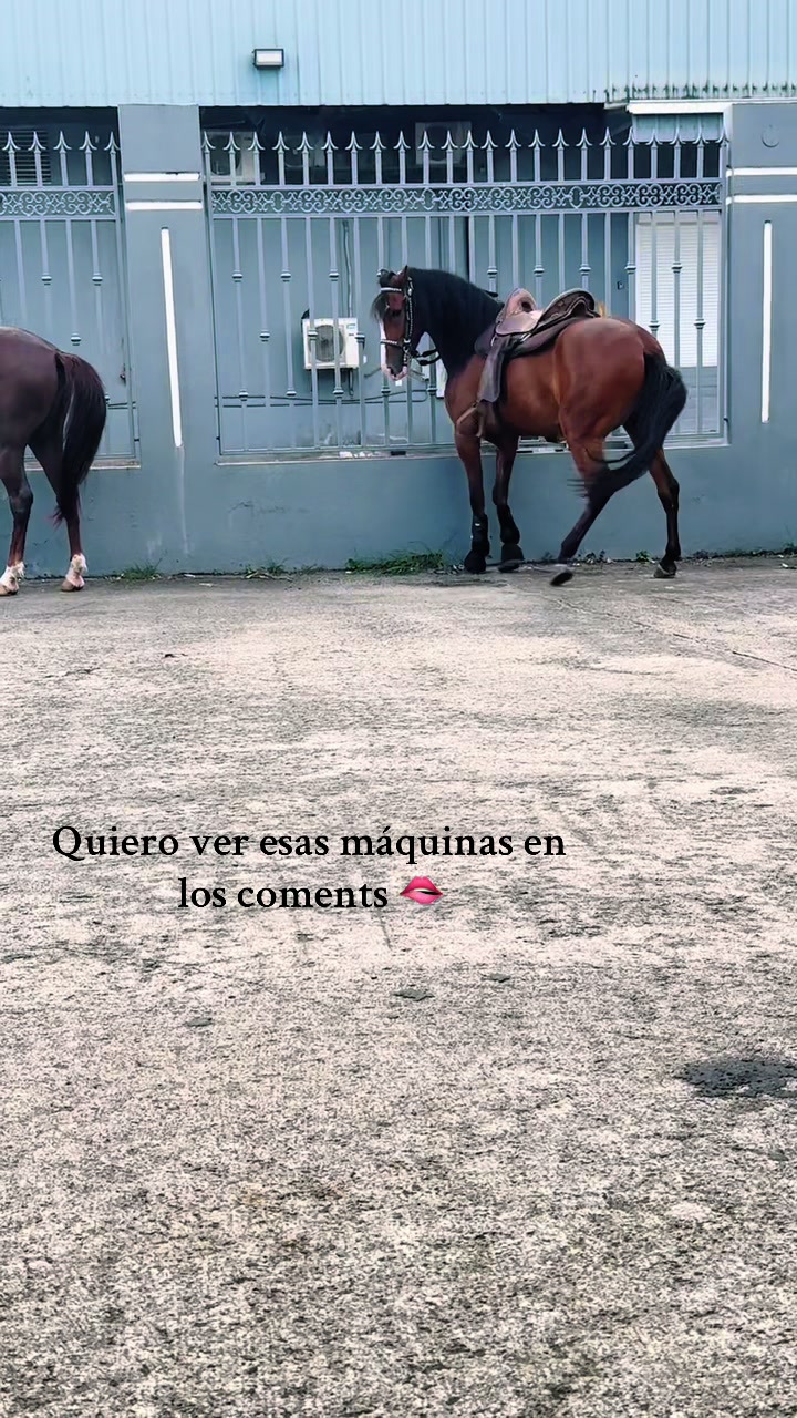 @Yany🇵🇷